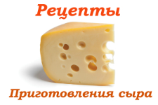 Рецепты приготовления сыра в домашних условиях